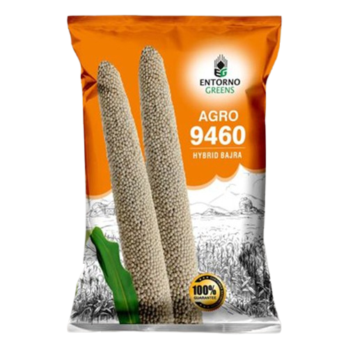 Bajra Seeds
