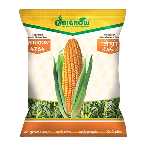 Maize Seeds