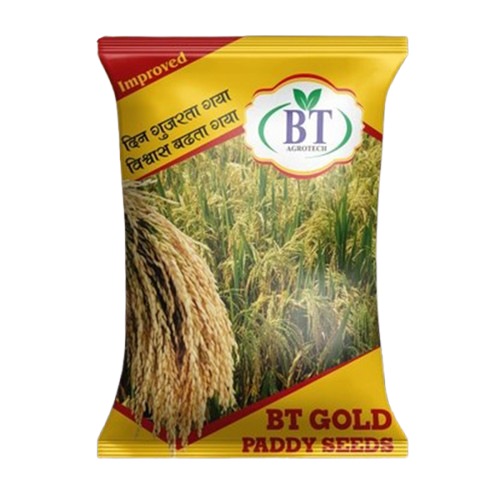 Paddy Seeds